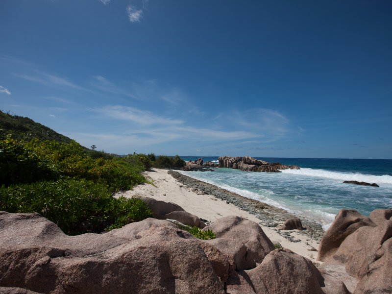 Anse Aux Cedres la digue