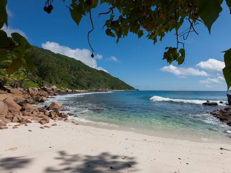 Anse Caïman