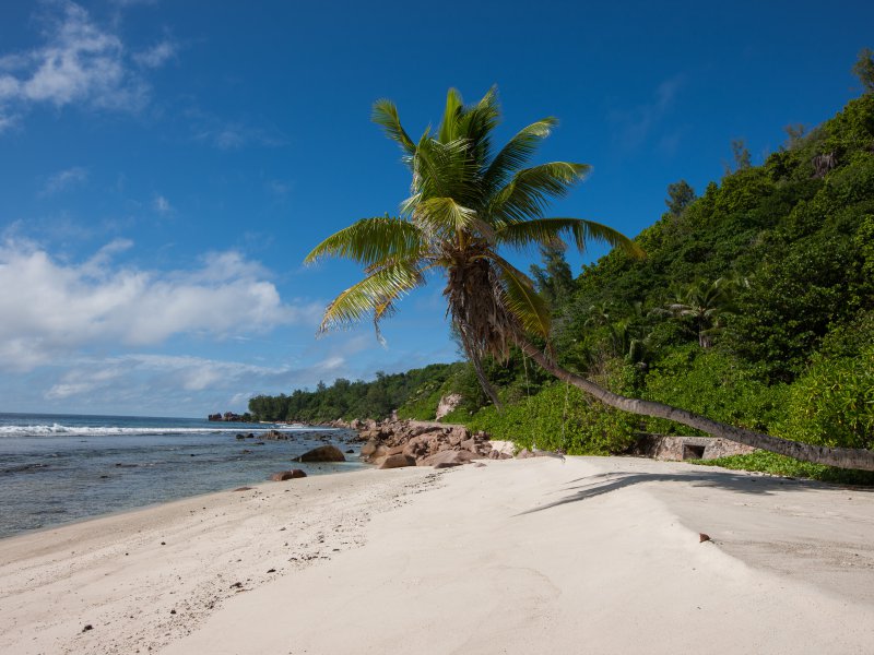 Anse Fourmis