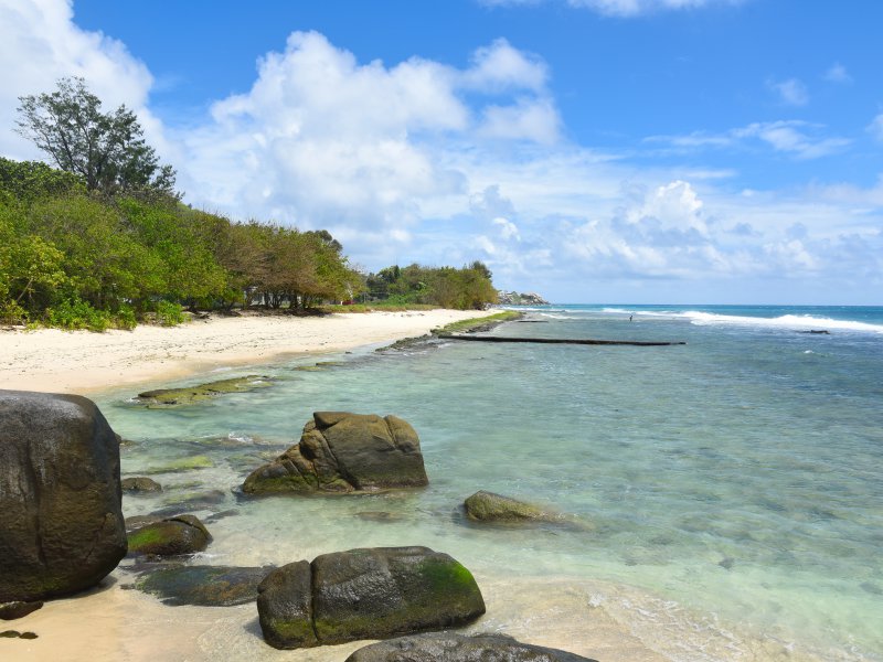 Anse nord d'Est, mahe