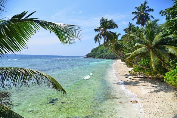 Anse Parnel, mahe