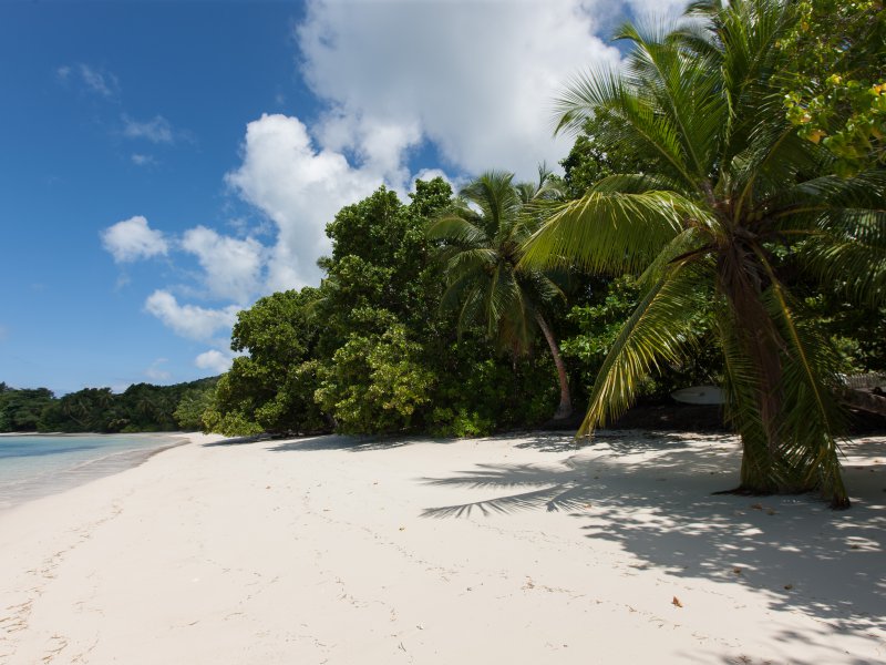 Anse St Sauveur