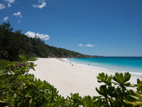 Grand Anse - Seychelles Tour Booking