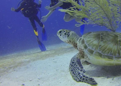 seychelles scubadiving