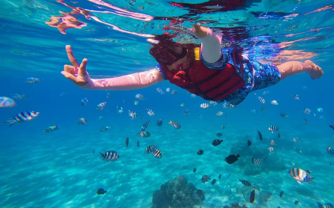 Best Beaches in Seychelles for Snorkeling