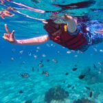 Under Water Snorkeling